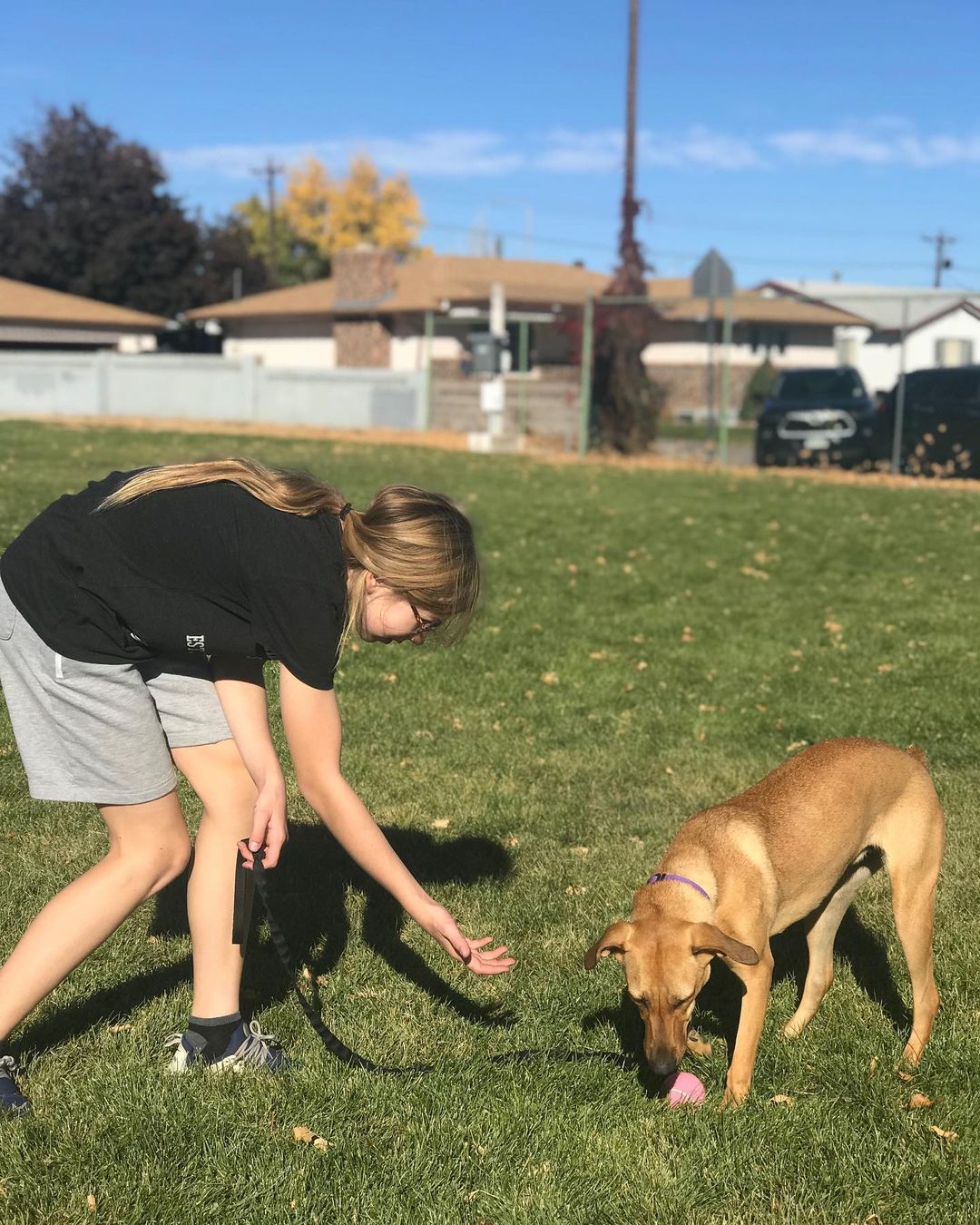 Girl playing with dog outside