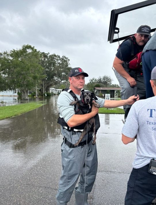 a rescuer with a dog in his arms