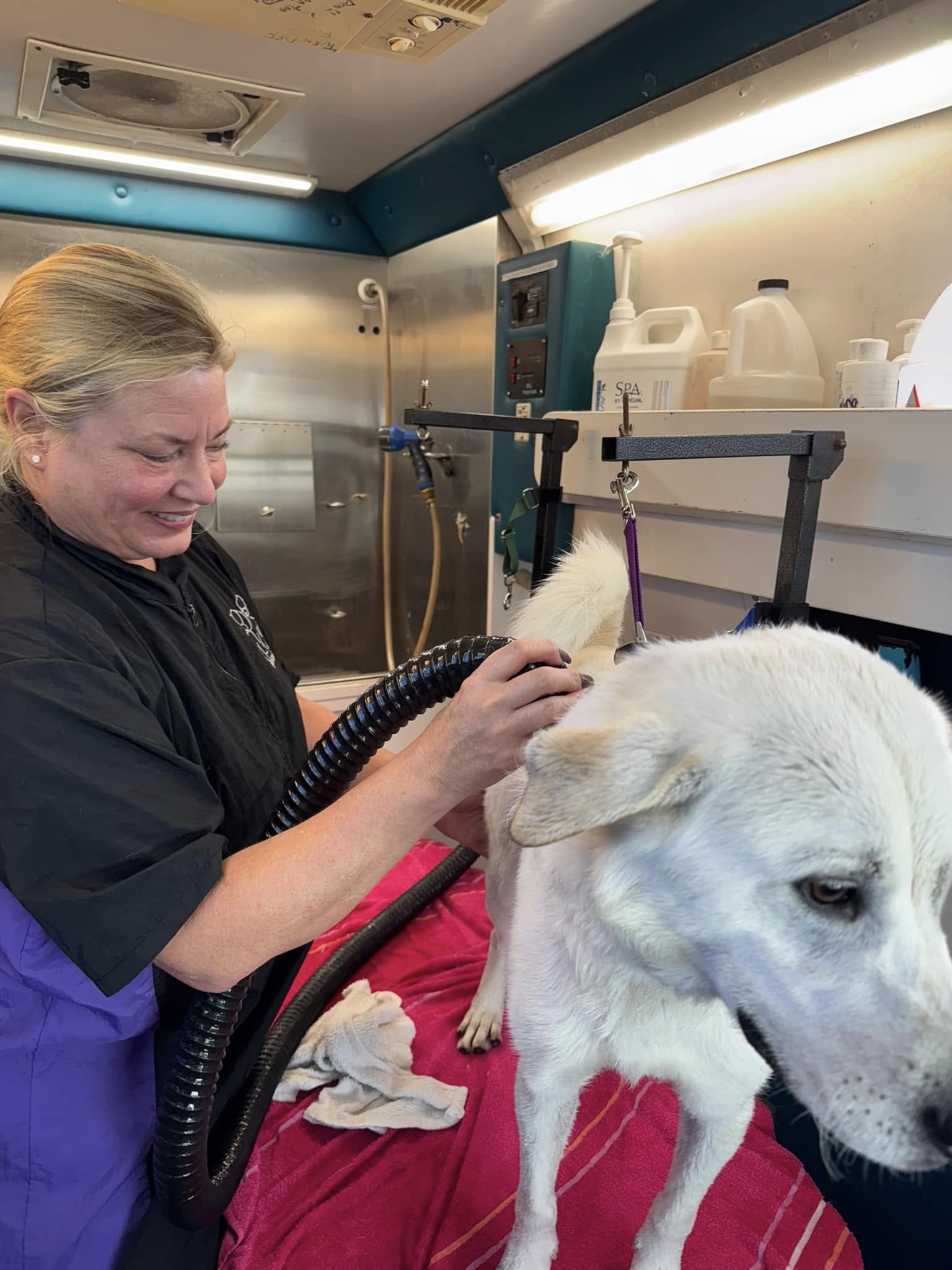 adult woman and white dog