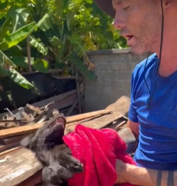 black puppy and owner