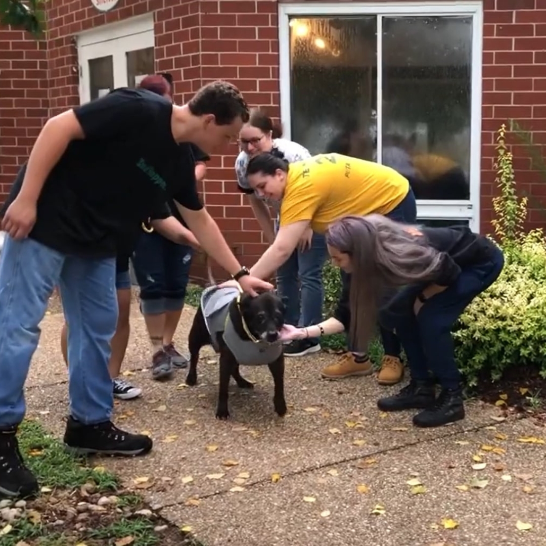 a group of people cuddling a dog