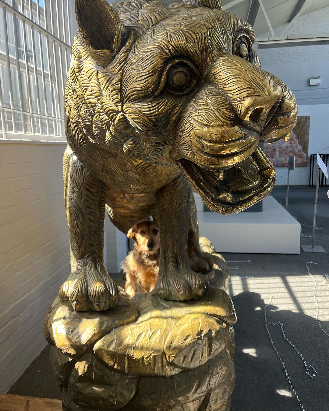 dog under a statue