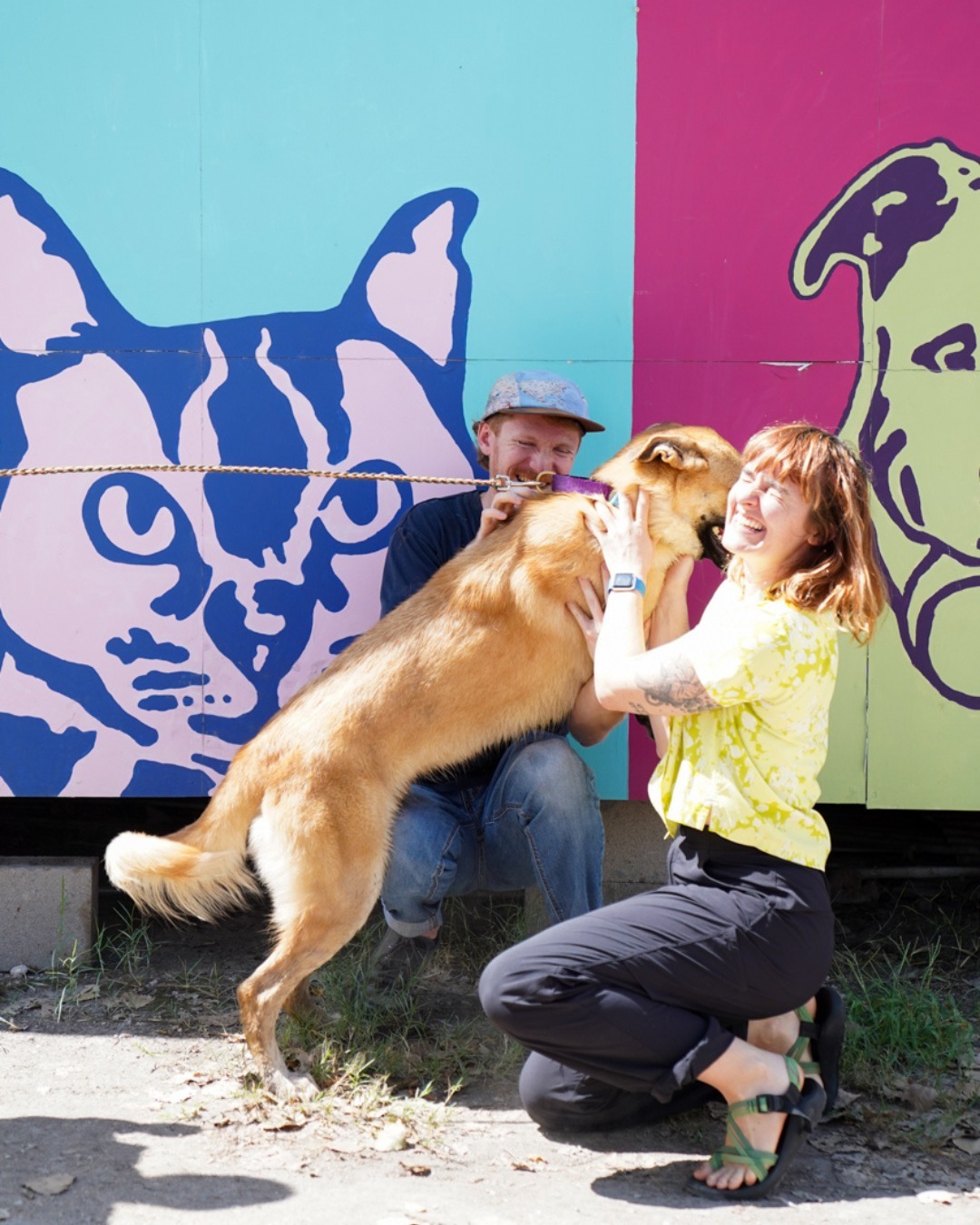 happy dog jumping on his new owners