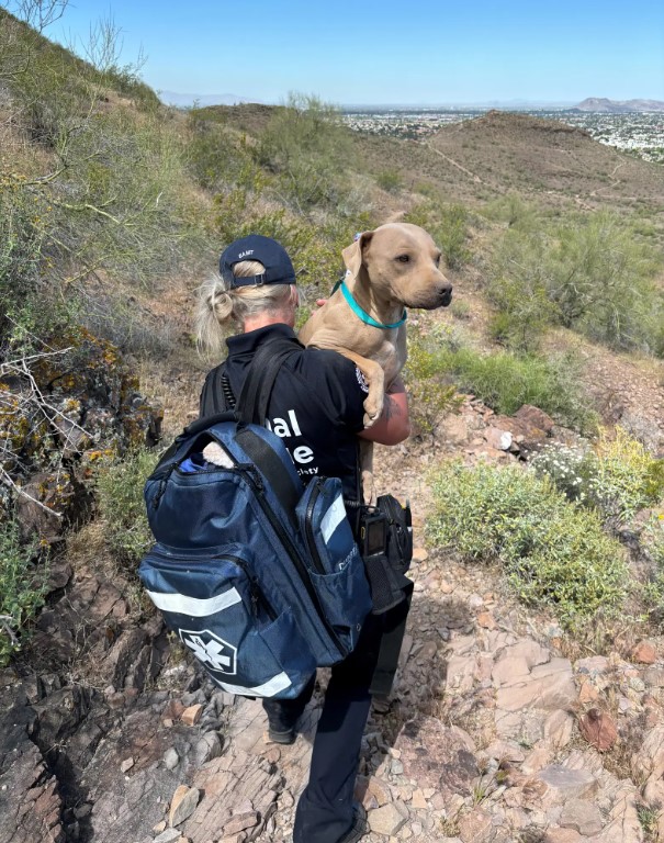 hiker woman holding a dog