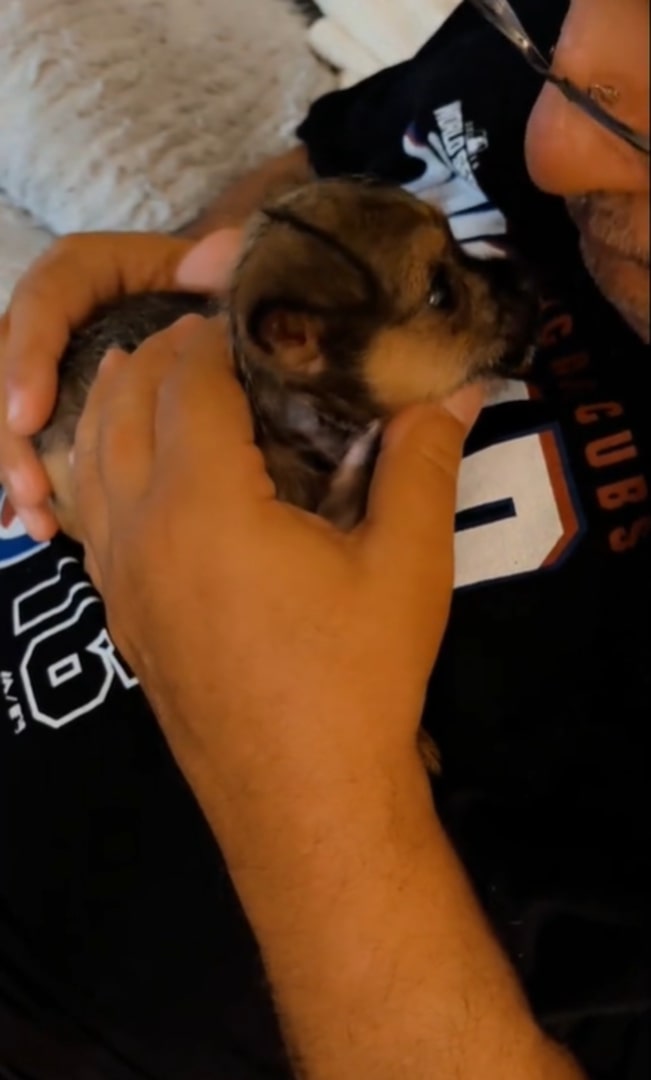 man and tiny puppy