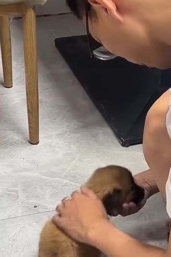 man cuddling little puppy