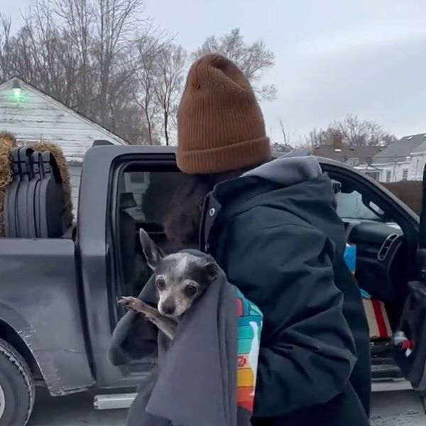 man holding a chihuahua