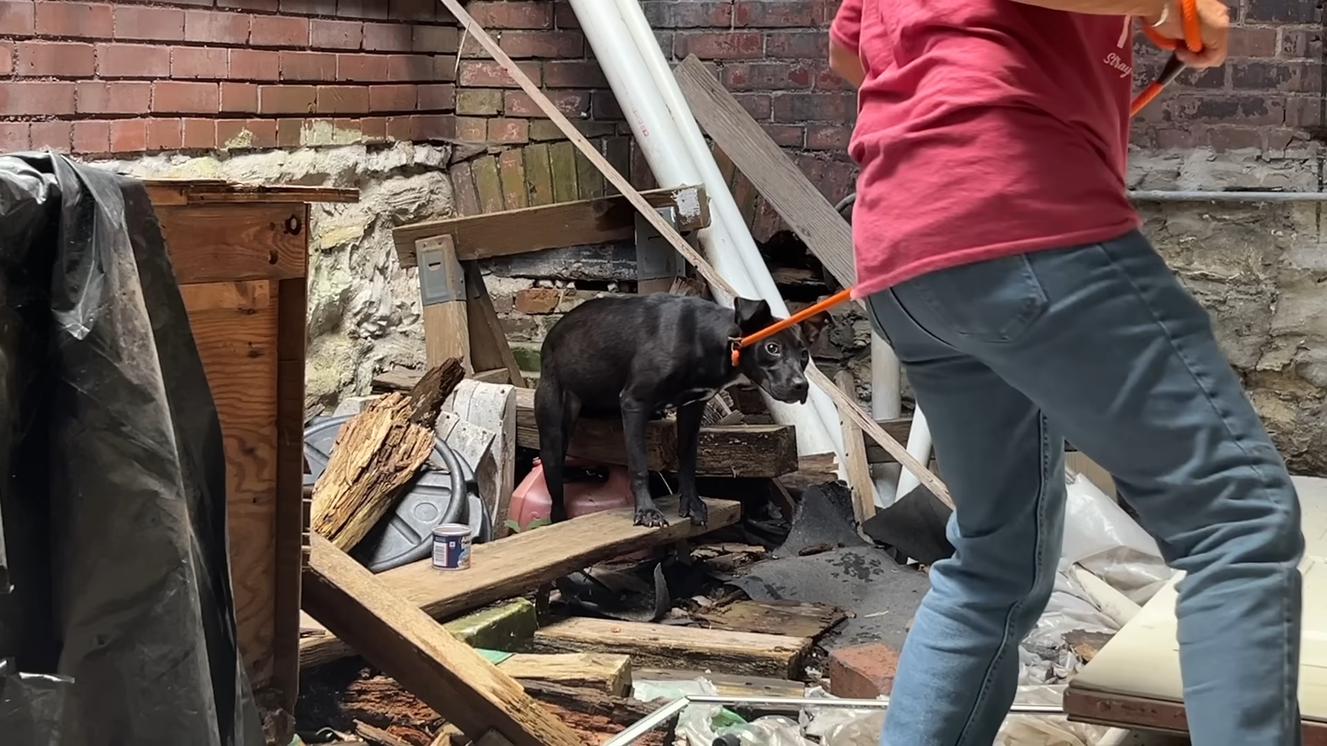 man with a pup on a leash