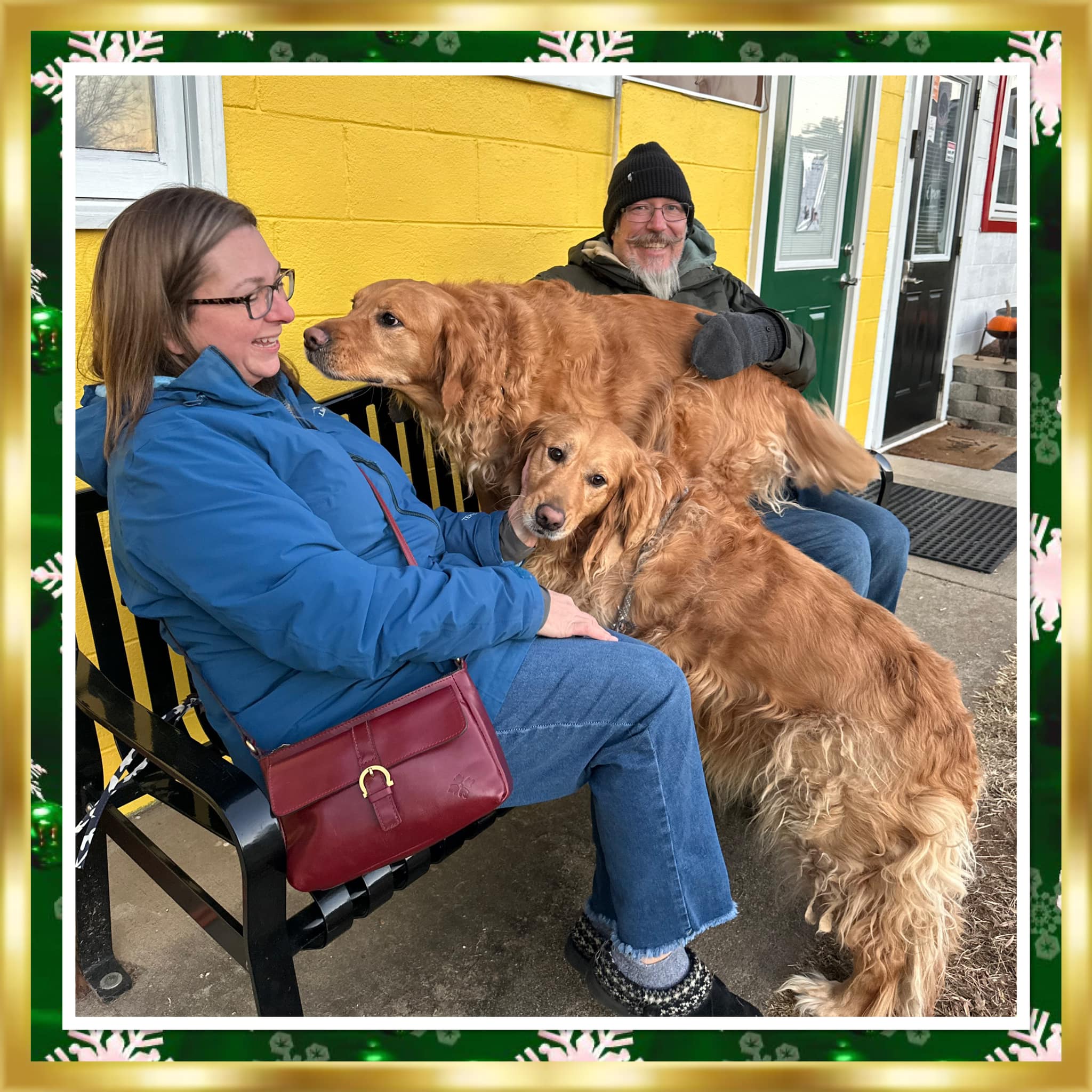 man woman and two golden retrievers