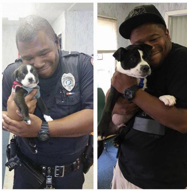 portrait of a policeman and a dog