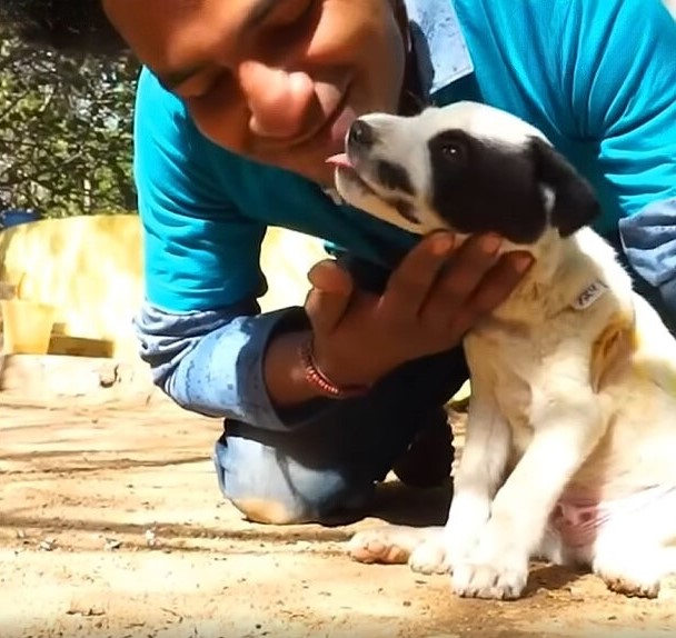 puppy reunited with a man