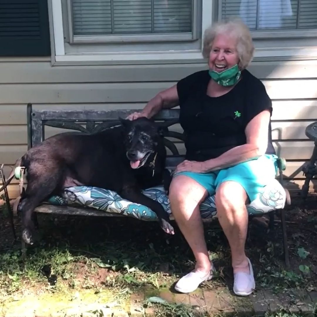 senior woman sitting on the bench with dog