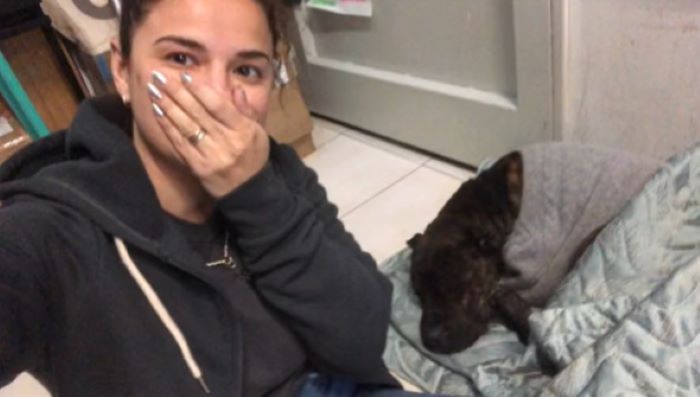 shocked woman taking picture with dog sleeping in blanket