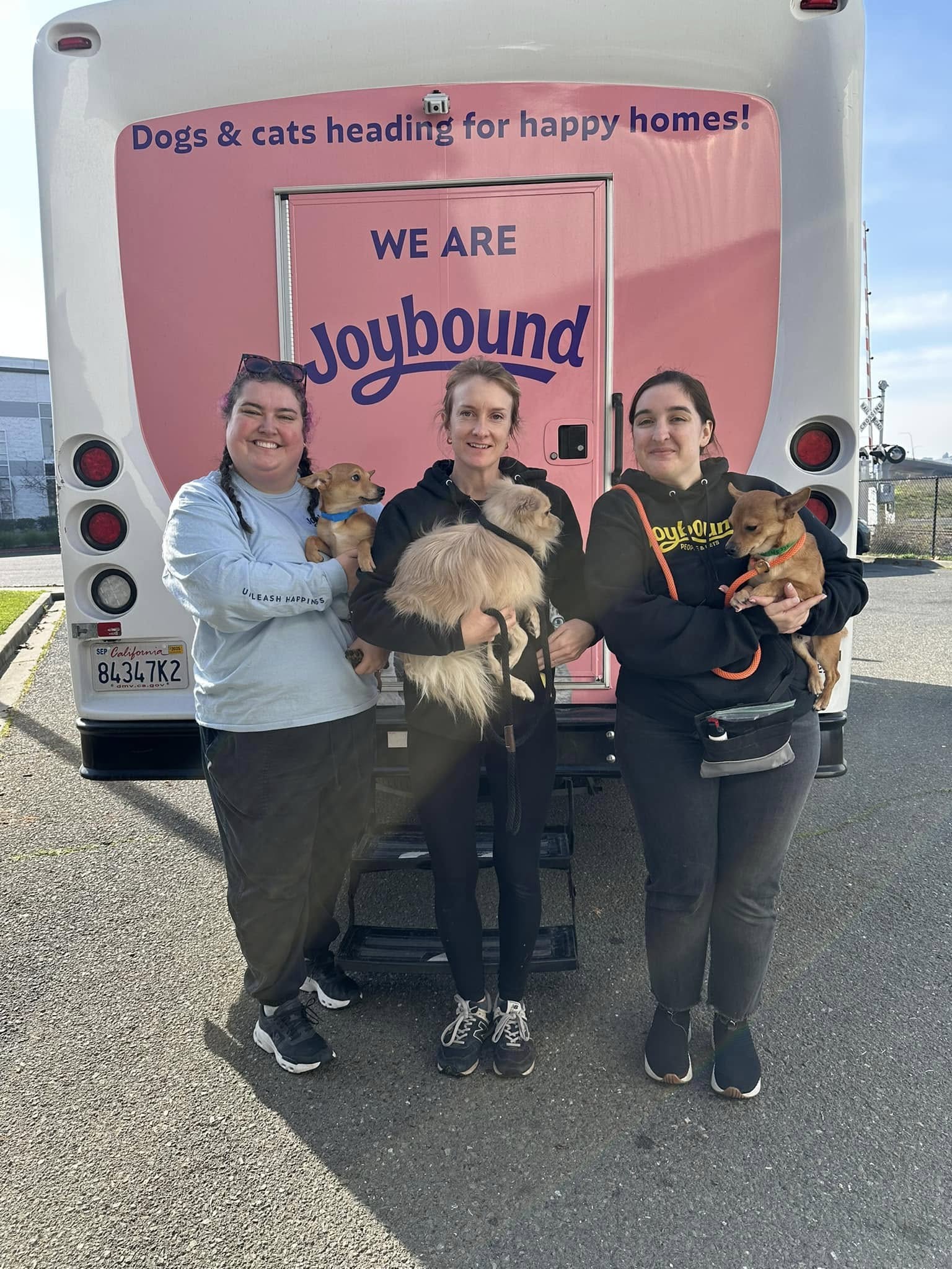 three women with chihuahuas in their arms