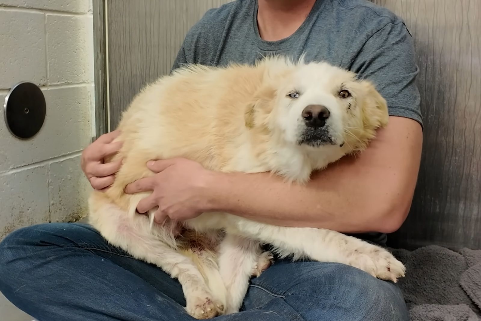 white dog and owner