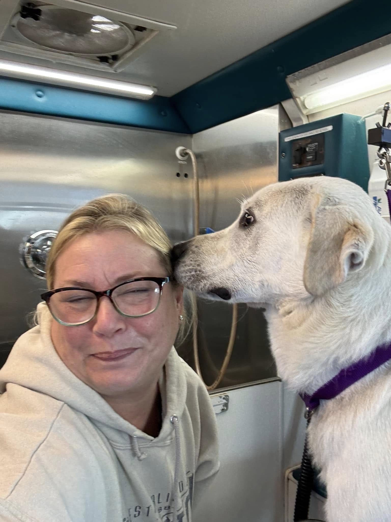 white dog kissing an owner