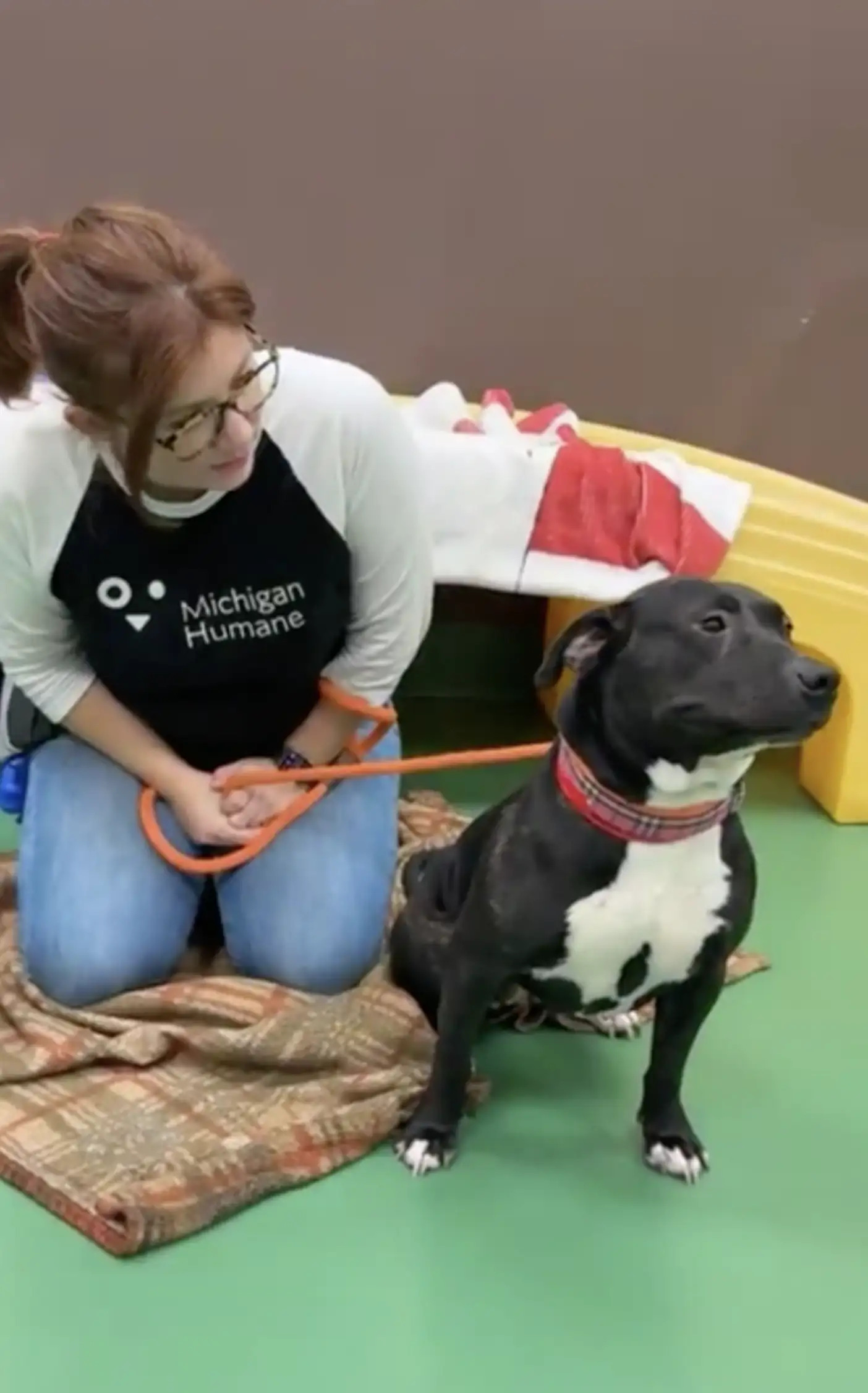 woman and black and white dog