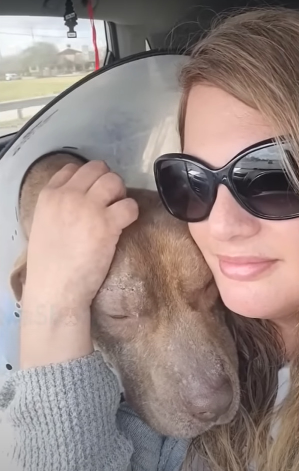 woman hugging the dog in the car