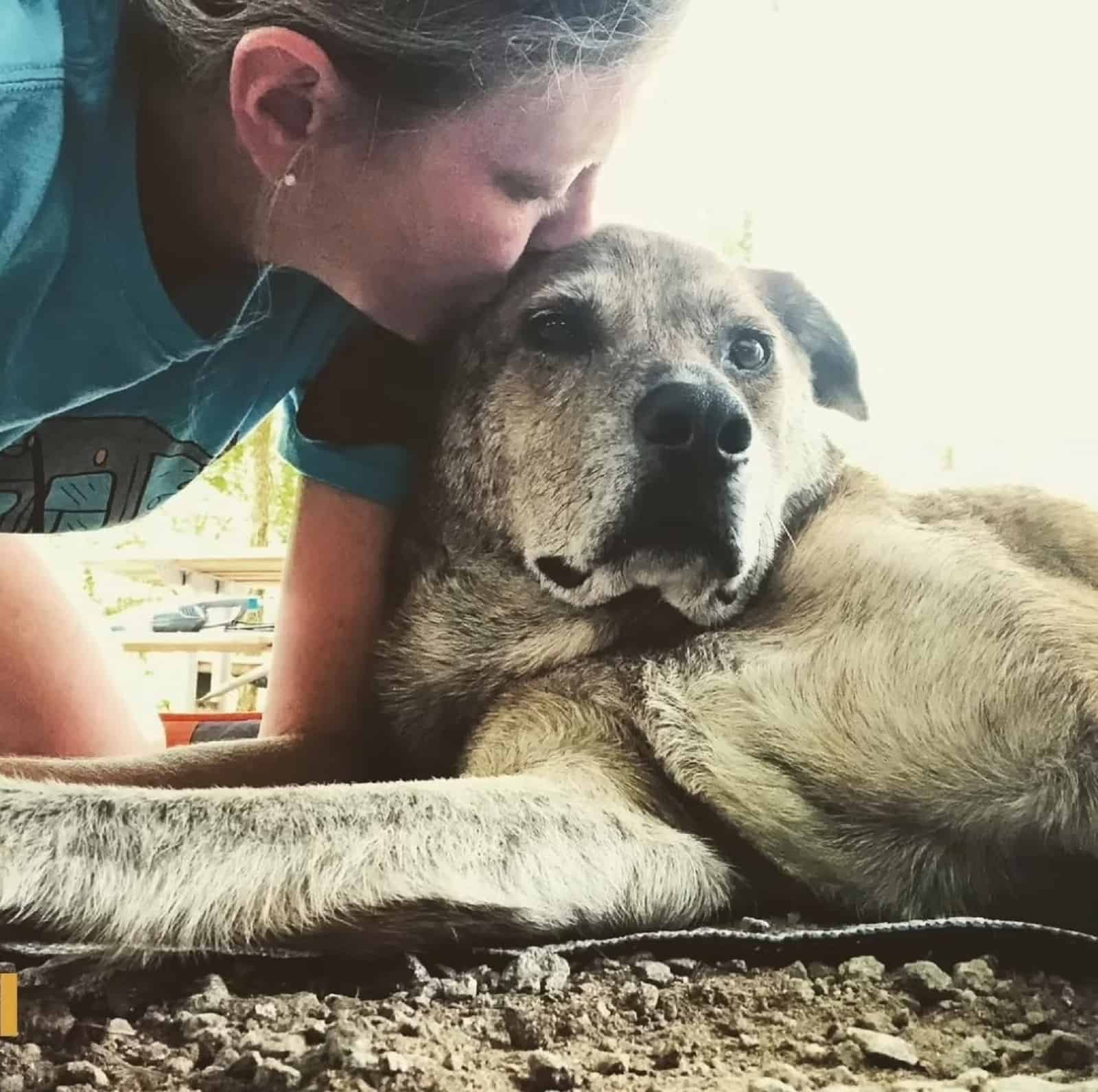 woman kissing her dog outdoors