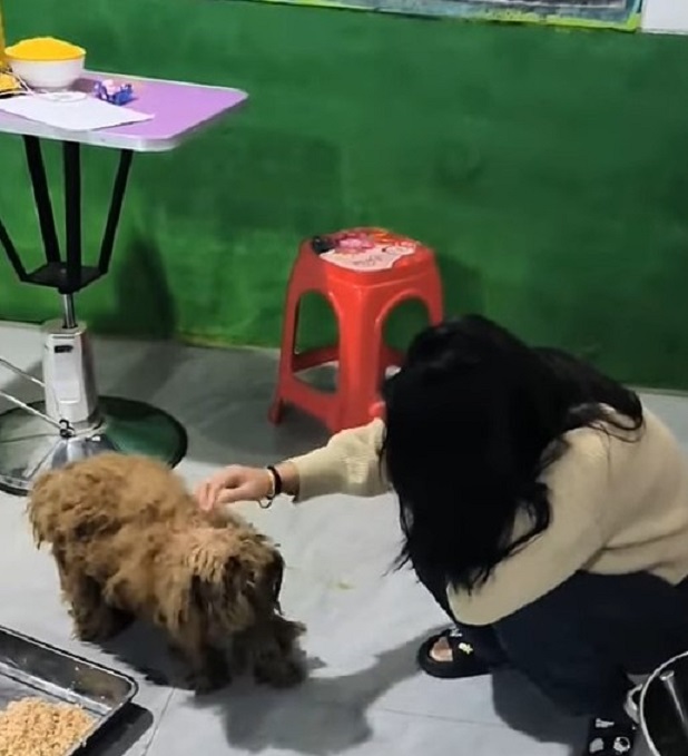 woman touching muddy dog