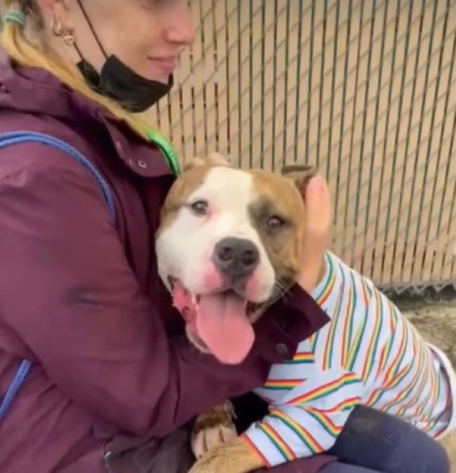 woman with face mask hugging a dog