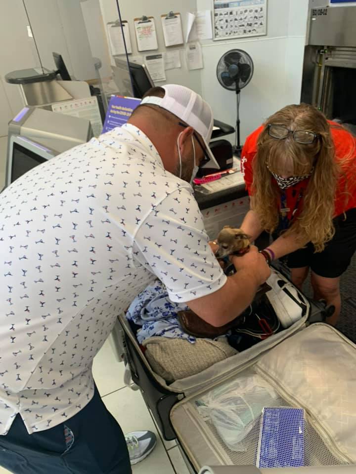 A husband and wife take a puppy out of a suitcase