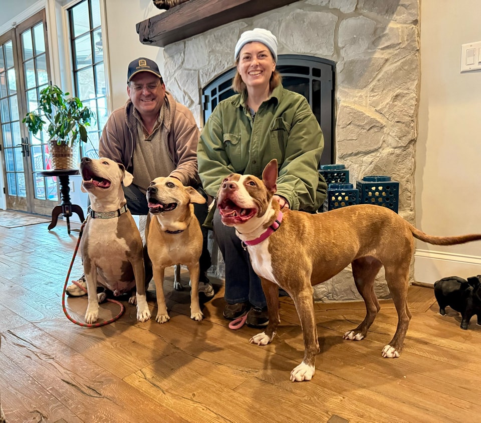 couple and three dogs