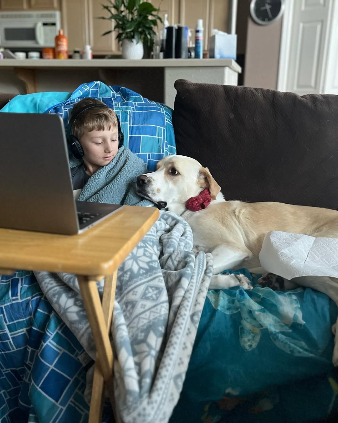 dog and kid laying on couch watching laptop