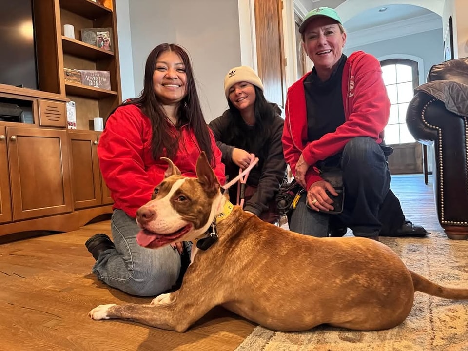 family and beautiful dog