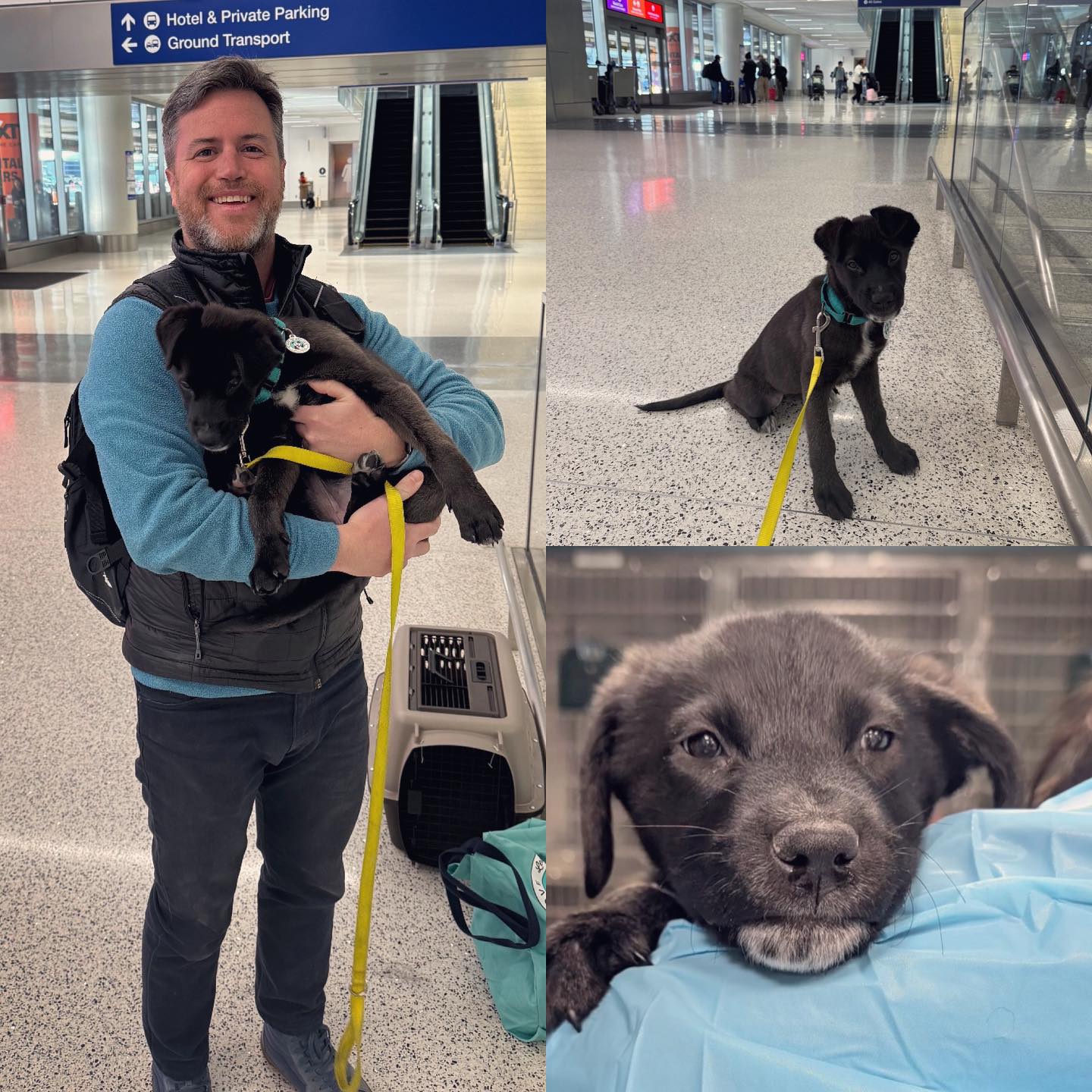 man and dog at airport