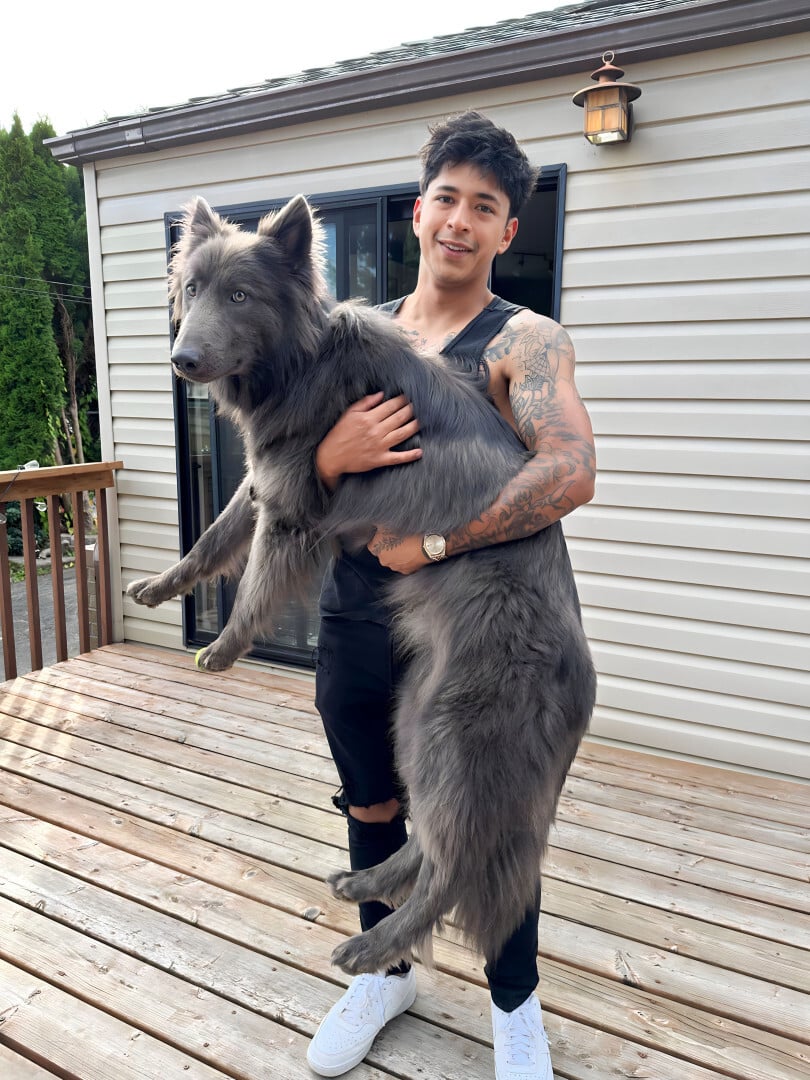 man and giant dog