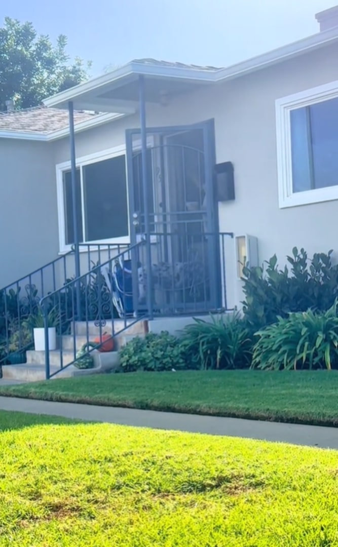 neighbour opening the door for the dog