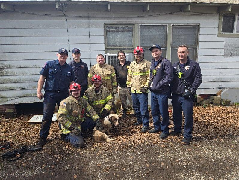 officers and dog