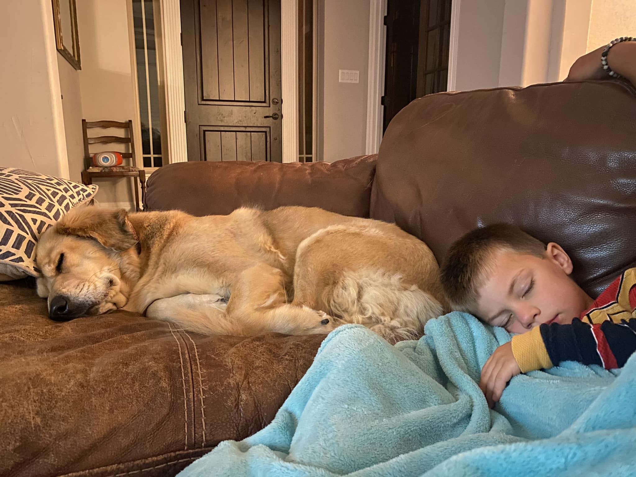 the dog and the boy are sleeping next to each other