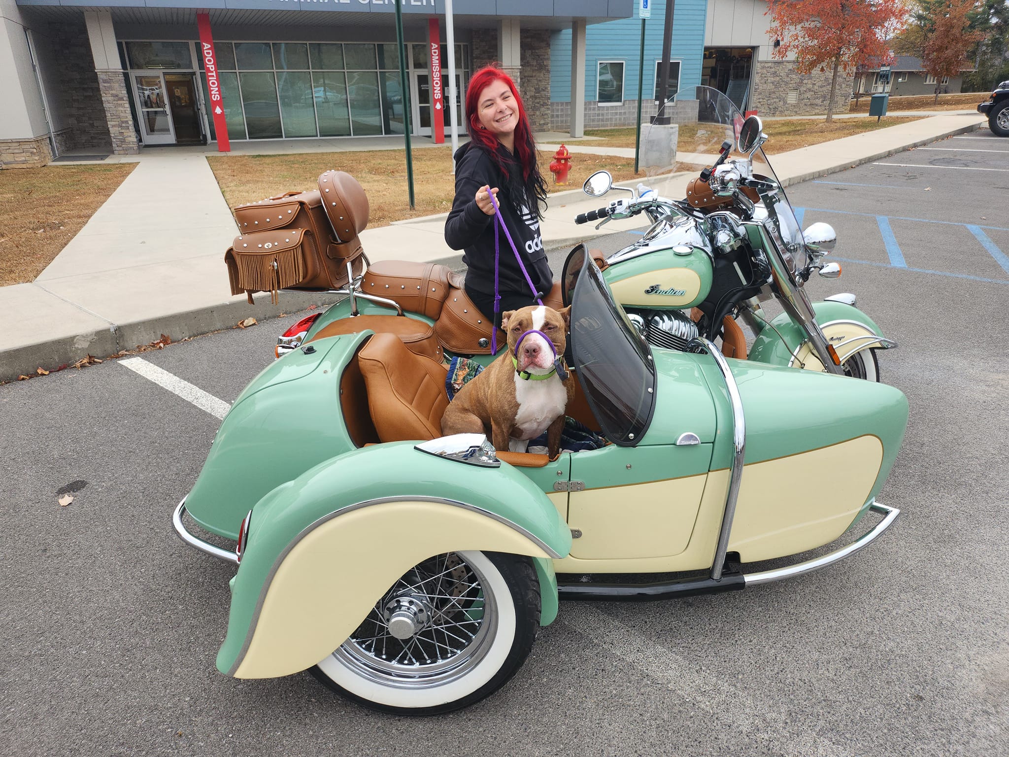 woman and dog in motorcycle