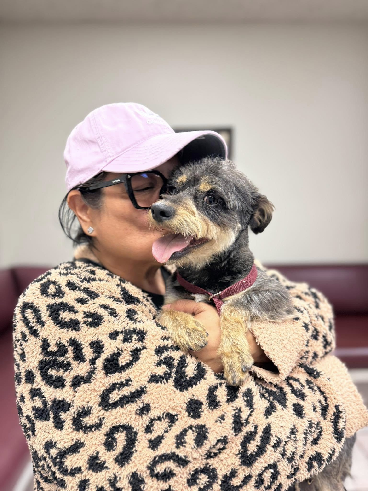 woman kissing a cute dog