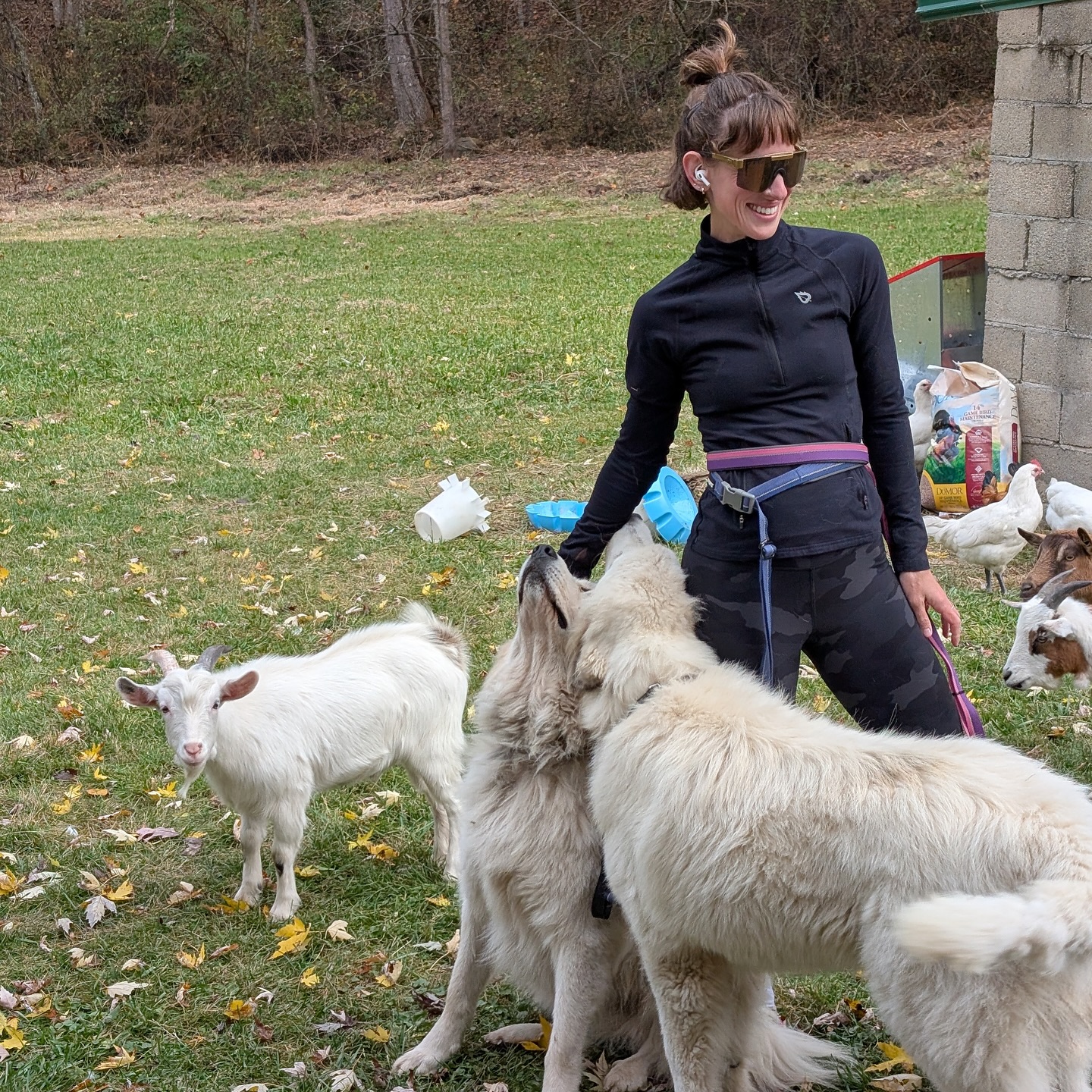 woman with two dogs and a goat